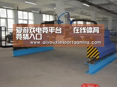 产品名称十八