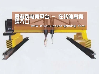 产品名称十七
